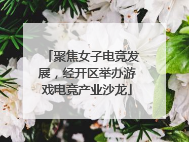 聚焦女子电竞发展，经开区举办游戏电竞产业沙龙